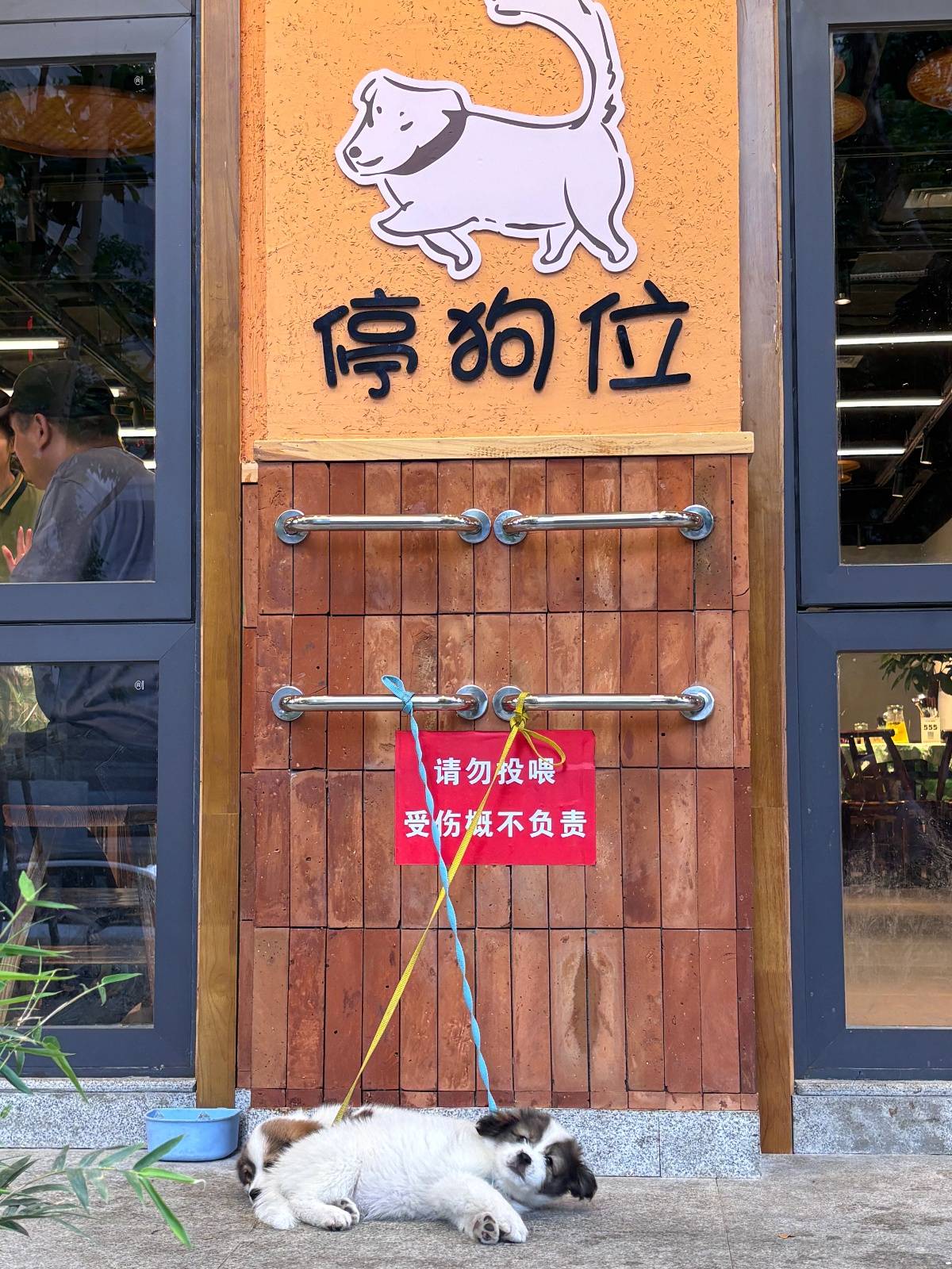 皇冠信用网怎么注册
_“先停狗再干饭！”武汉多个商铺现“停狗位”皇冠信用网怎么注册
，商家称为吸引宠主，但有宠主表示担心